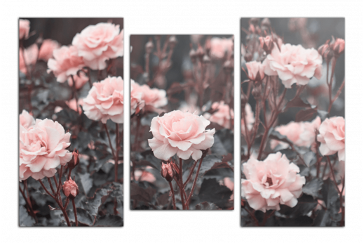 Модульная картина Розовые розы