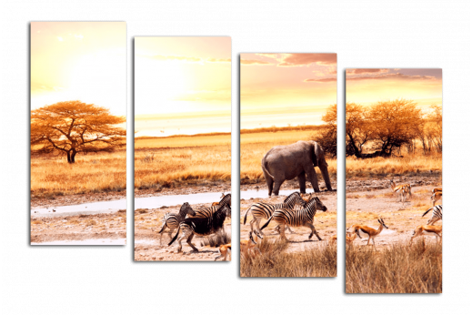 Модульная картина Африканская саванна