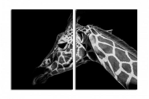 Модульная картина Черно-белый жираф